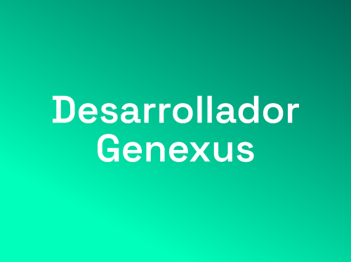 Desarrollador