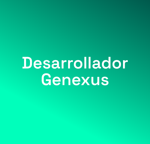 Desarrollador