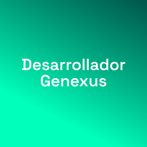 Desarrollador
