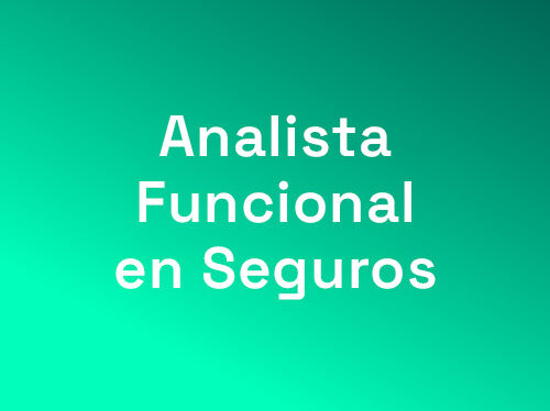 Analista funcional en seg