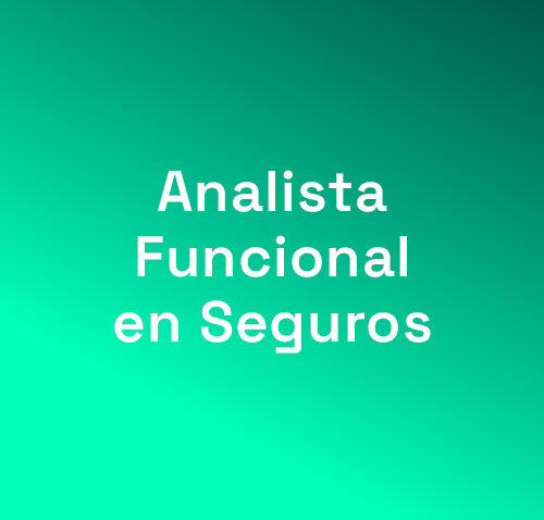 Analista funcional en seg