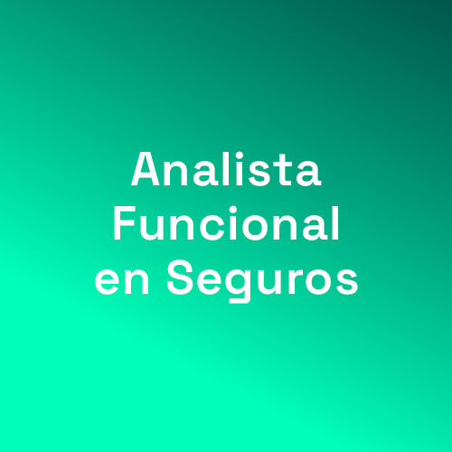 Analista funcional en seg