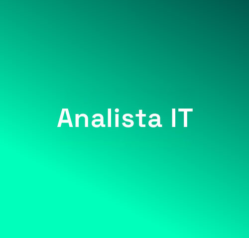 Analista IT