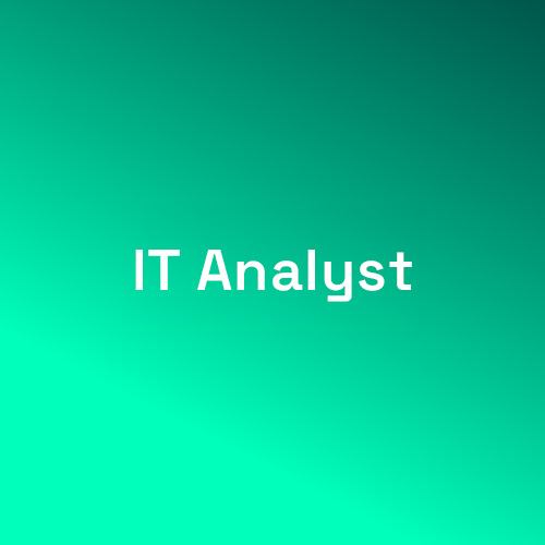 IT Analyst Analista IT