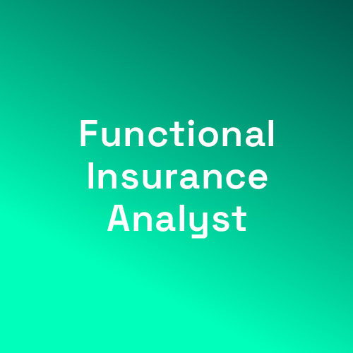 Analista funcional en seg Analista funcional en seg