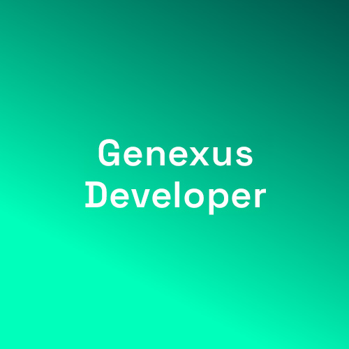 Desarrollador Desarrollador